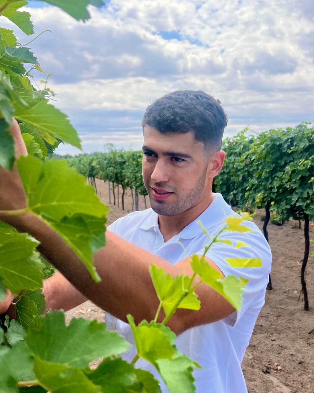 Zádori Bálint a szőlőben, a sorok között — 4. generáció